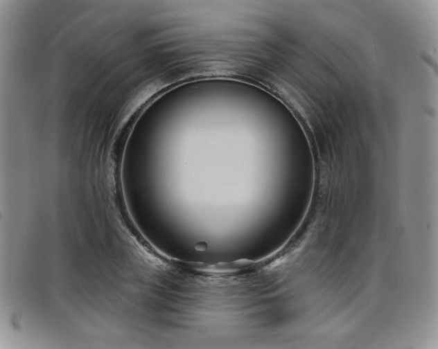 X0000098210835200804241319