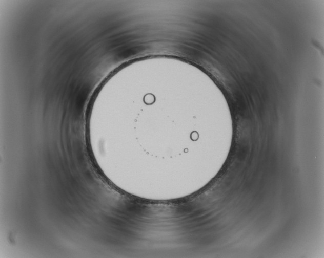 X0000098210836200804241319