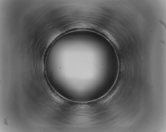 X0000098210837200804241319