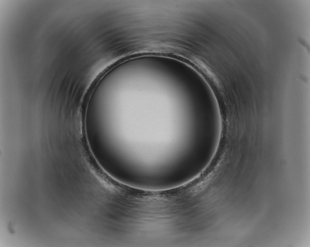 X0000098210838200804241319