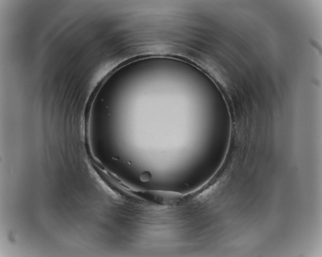 X0000098210839200804241319