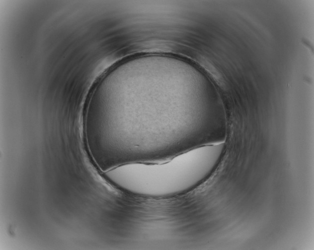 X0000098210840200804241319