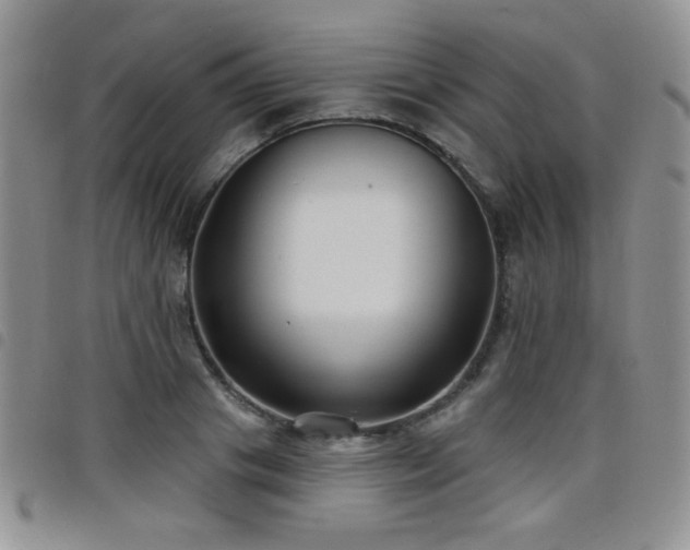 X0000098210841200804241319