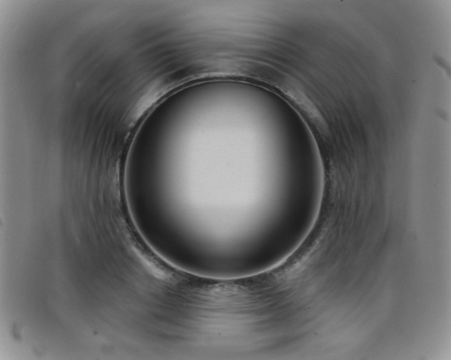 X0000098210842200804241319