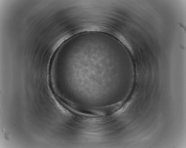 X0000098210845200804241319