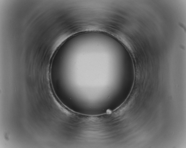 X0000098210847200804241319