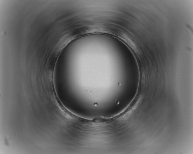 X0000098210849200804241319