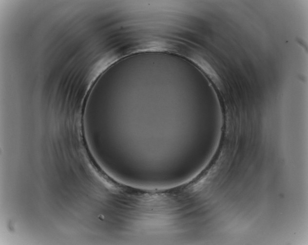 X0000098210850200804241319