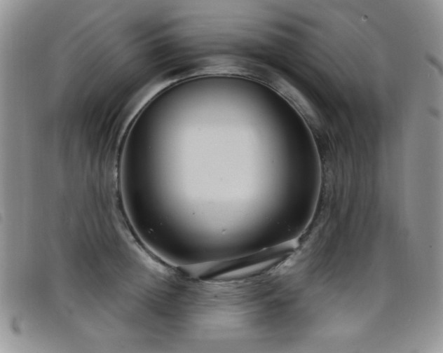 X0000098210852200804241319