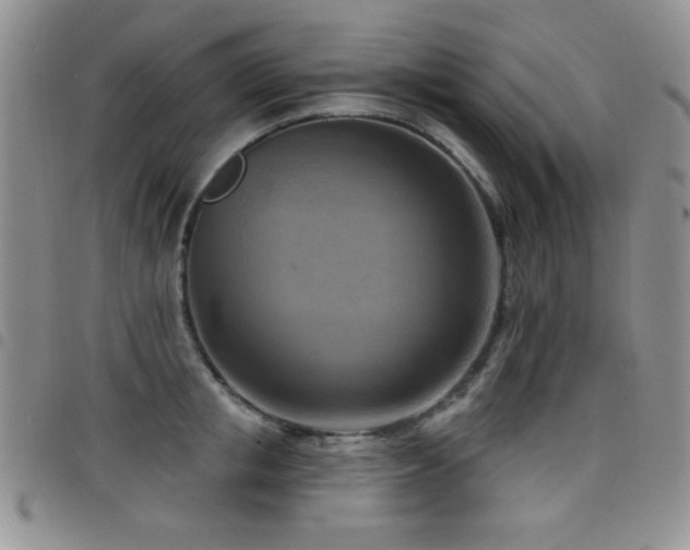 X0000098210853200804241319