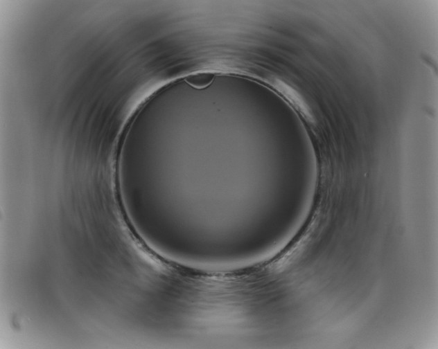X0000098210854200804241319