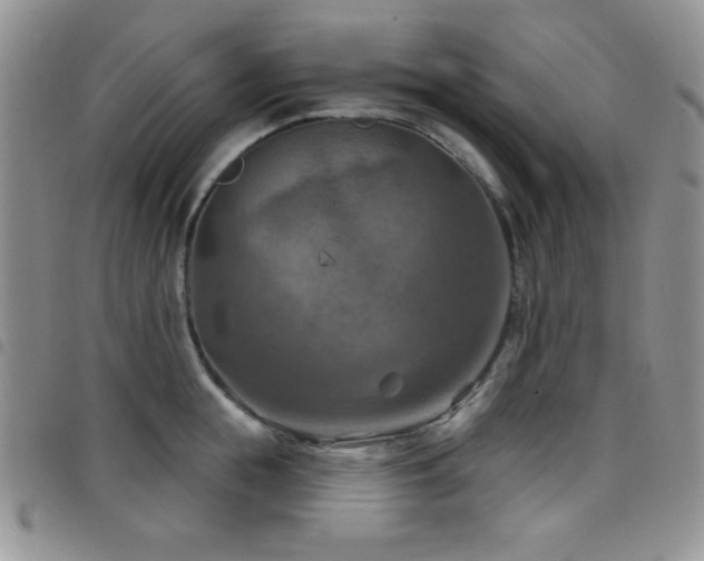 X0000098210855200804241319