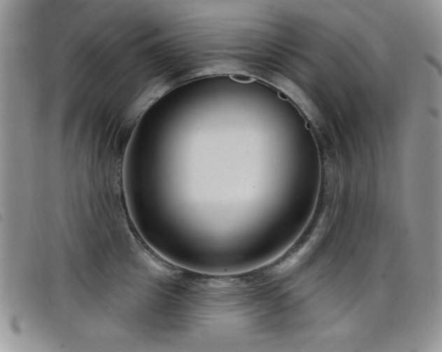 X0000098210857200804241319