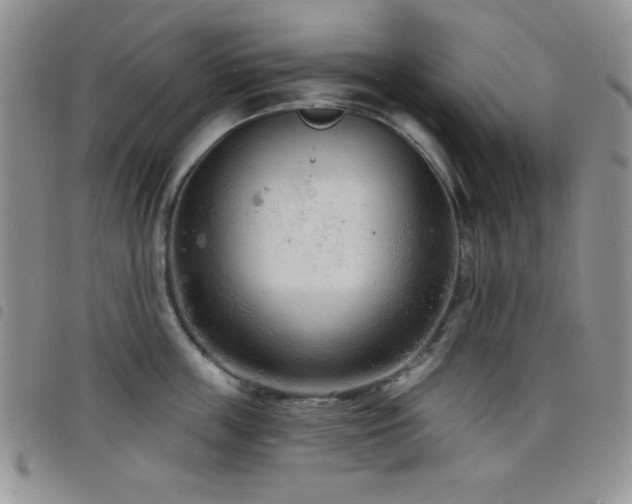 X0000098210859200804241319