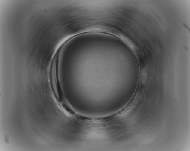 X0000098210862200804241319