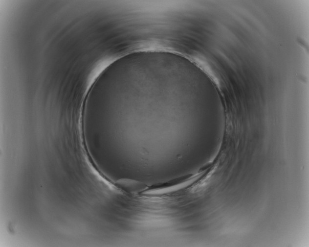 X0000098210863200804241319