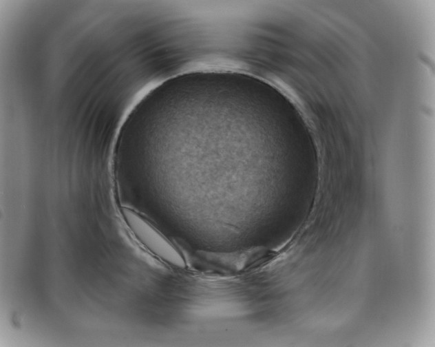 X0000098210864200804241319