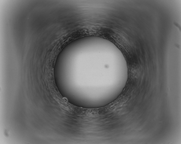 X0000098210865200804241319