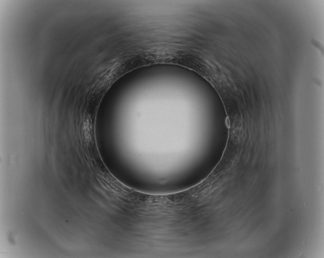 X0000098210866200804241319