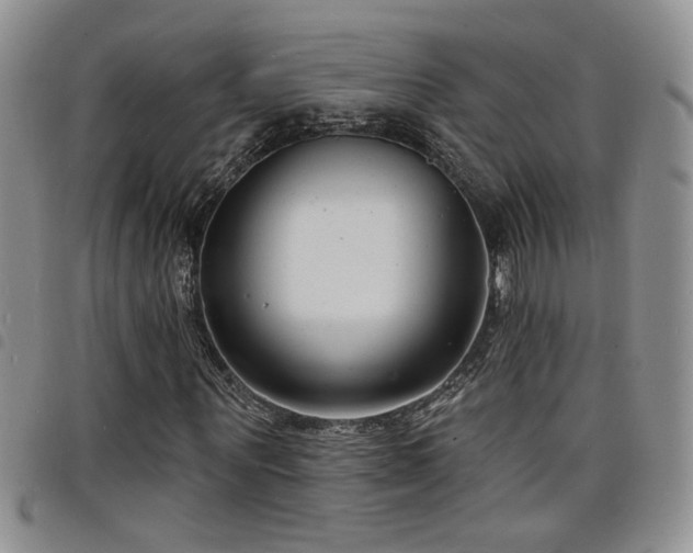 X0000098210867200804241319