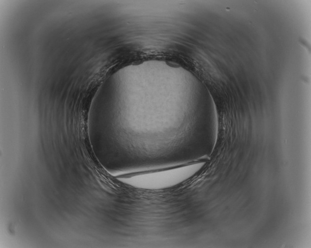X0000098210868200804241319