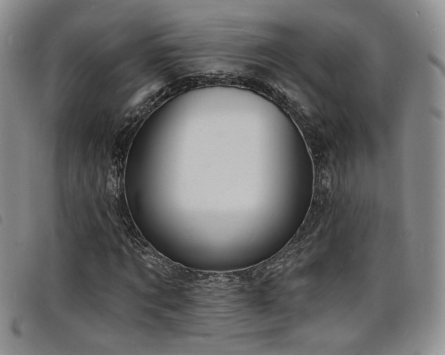 X0000098210869200804241319