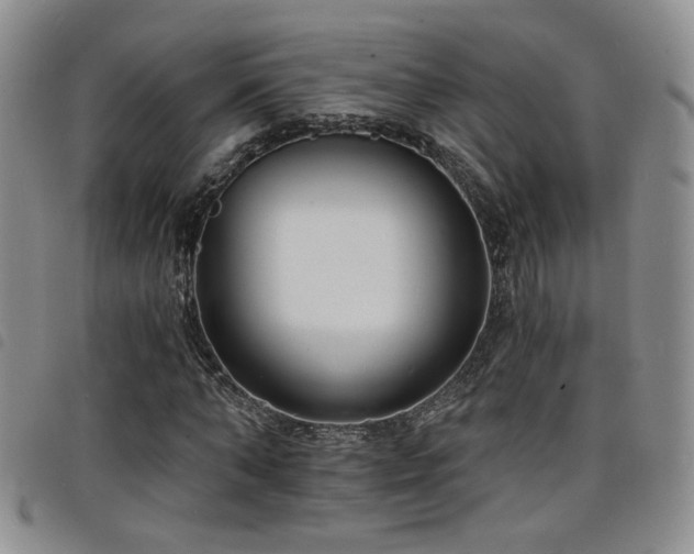 X0000098210870200804241318