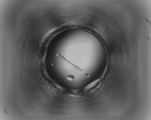 X0000098210872200804241318