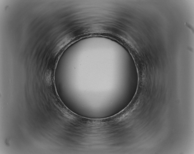 X0000098210873200804241318