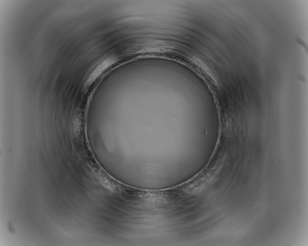 X0000098210874200804241318