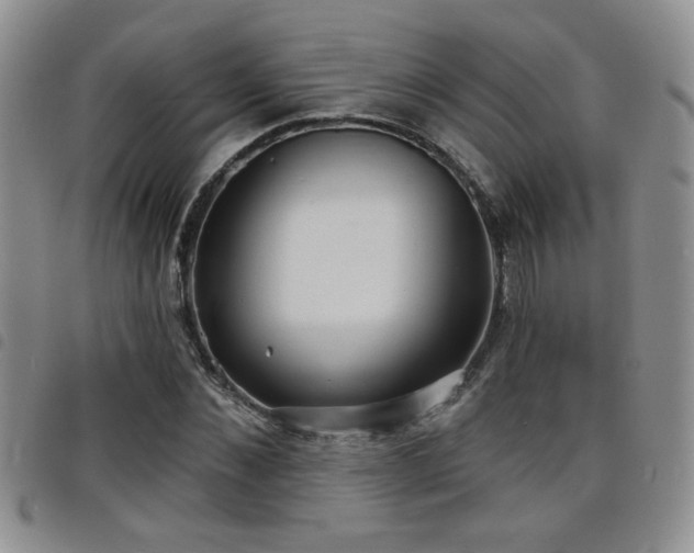 X0000098210876200804241318