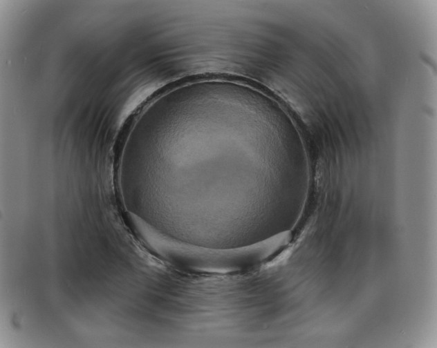 X0000098210877200804241318