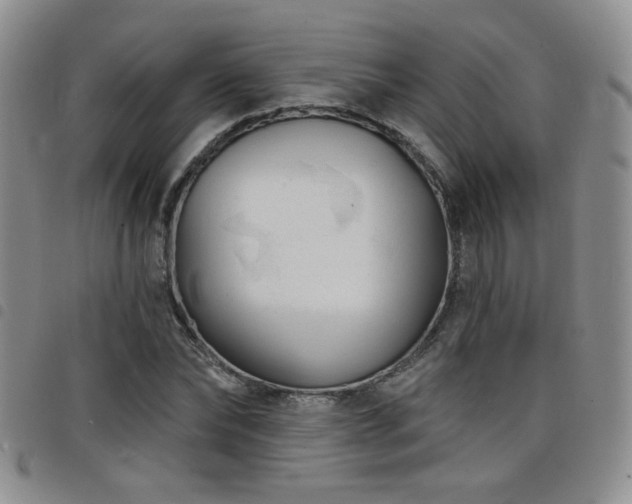X0000098210878200804241318