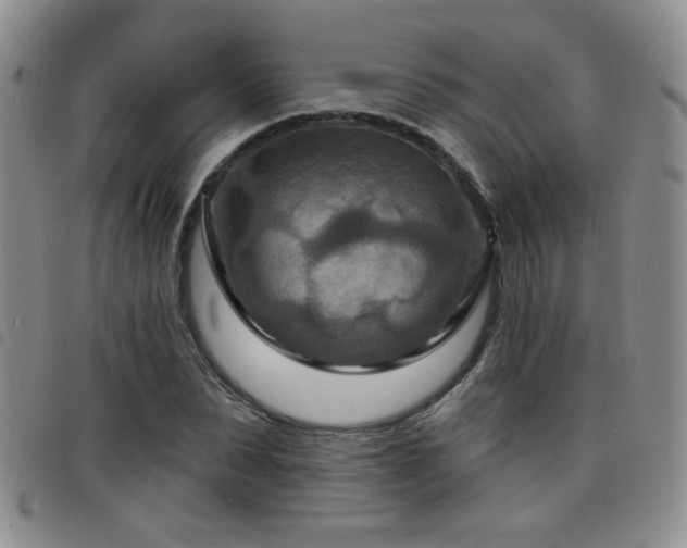 X0000098210879200804241318