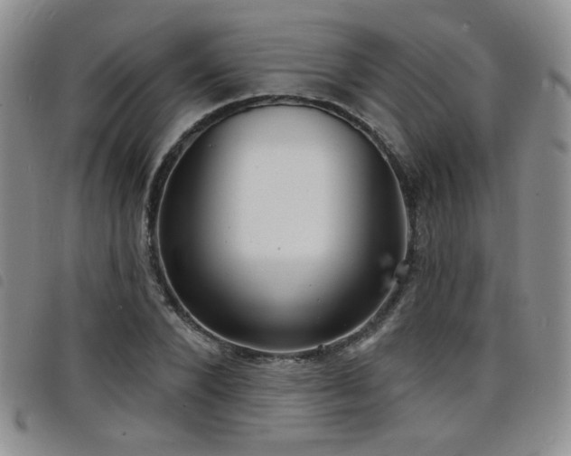 X0000098210880200804241318