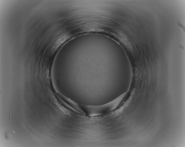 X0000098210881200804241318