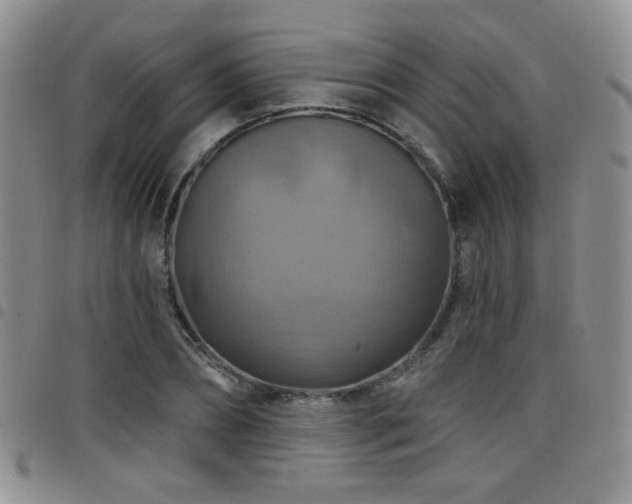 X0000098210882200804241318