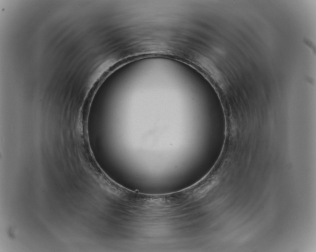 X0000098210883200804241318