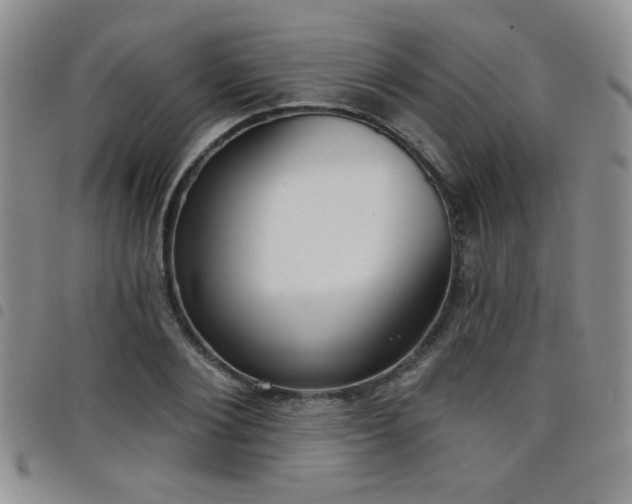 X0000098210884200804241318