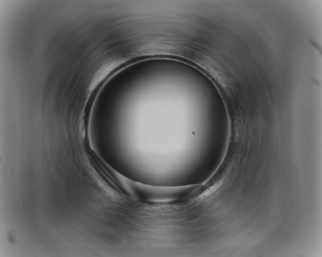 X0000098210885200804241318