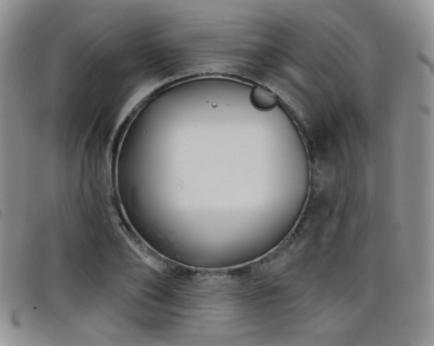 X0000098210886200804241318