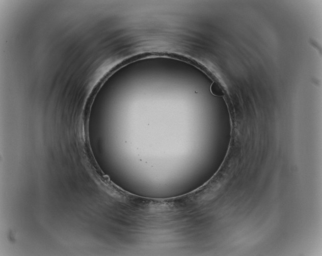 X0000098210887200804241318