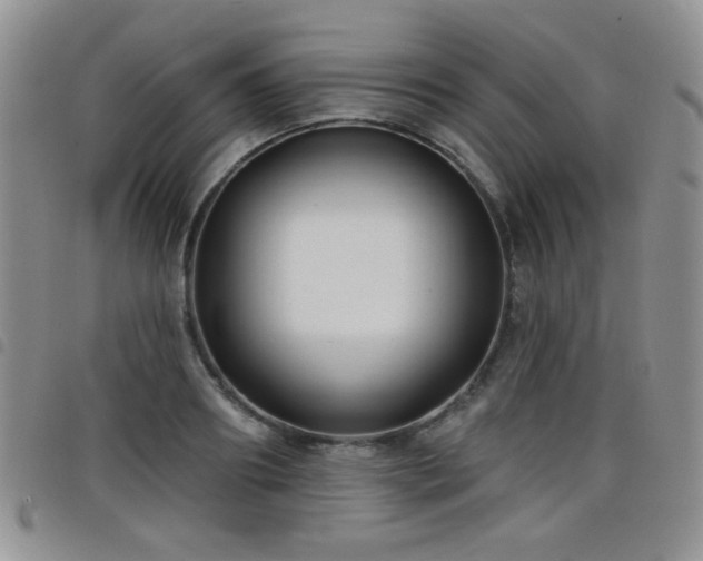 X0000098210890200804241318