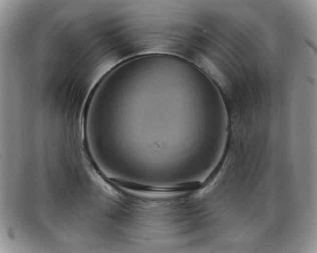 X0000098210892200804241318