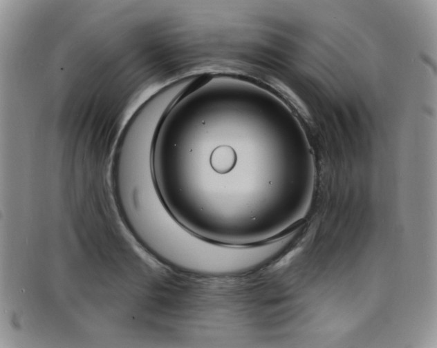 X0000098210893200804241318