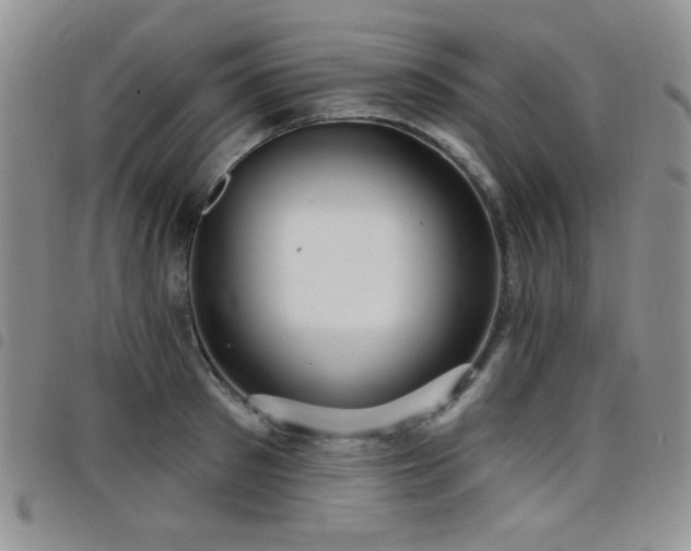 X0000098210897200804241318