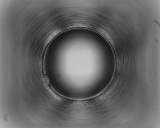 X0000098210898200804241318