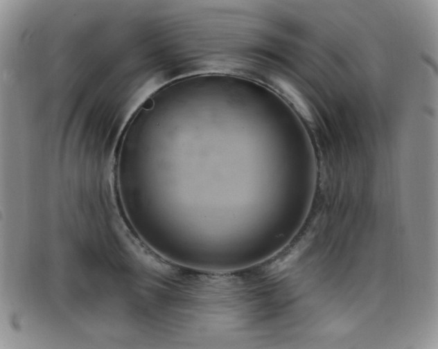 X0000098210899200804241318