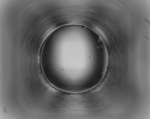 X0000098210900200804241318