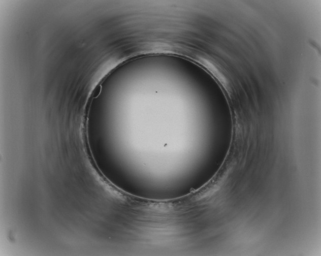 X0000098210901200804241318